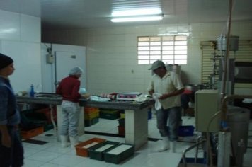 Foto - Funcionamento Piloto da Pasteurização de Leite em Paraguaçu