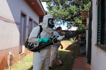 Aumentam os casos de dengue e a Prefeitura intensifica luta contra o Aedes