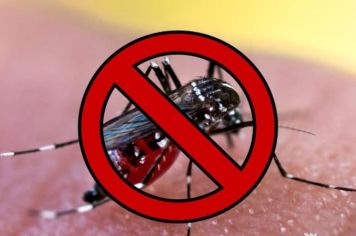 Departamento de Saúde alerta população sobre cuidados com criadouros do Aedes aegypti
