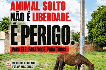Prefeitura inicia força-tarefa para recolher animais soltos e evitar acidentes em Paraguaçu Paulista