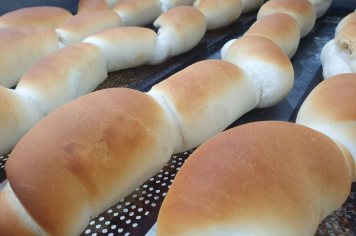 REPORTAGEM ESPECIAL: Com amor e dedicação, Padaria Municipal alimenta escolas e unidades públicas com 3 mil pães por dia