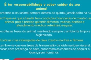 Vigilância em Saúde alerta para posse e guarda responsável de animais e prevenção a Leishmaniose Visceral