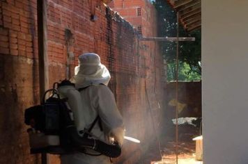É alto o número de infestação de mosquito Aedes Aegypti  em Paraguaçu