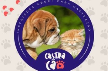 Prefeitura abre inscrições para a castração de cães e gatos em Paraguaçu Paulista