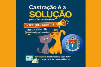 Prefeitura abre inscrições para castração de pets com cirurgias agendadas para fevereiro