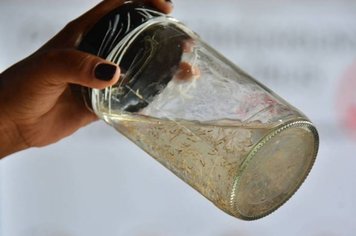 Paraguaçu tem mais de mil casos de dengue