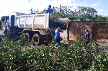 Operação Pós-Temporal segue fazendo a retirada das árvores caídas