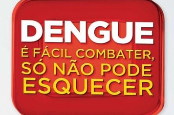 Dengue: 2020 deve ter uma média alta no número de casos
