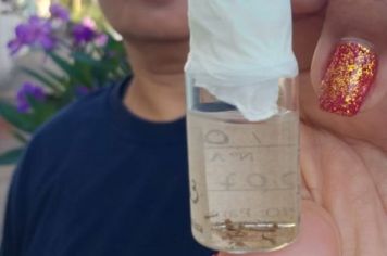 Agentes de Vetores realizam checagem dos níveis de infestação de larvas do Aedes aegypti em Paraguaçu Paulista