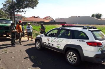 Paraguaçuense é abordado pela Polícia Florestal e apresenta autorização do Meio Ambiente para corte de árvore