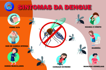 Dengue: Saiba quais são os principais sintomas da doença