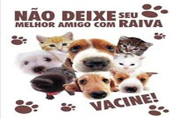 Campanha de Vacinação Antirrábica tem inicio na próxima semana em Paraguaçu