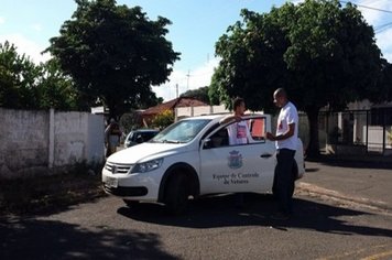 Chuvas atrasam o cronograma, mas mutirão contra a dengue prossegue em Paraguaçu