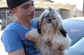 Quase 10 mil animais deverão ser vacinados contra a raiva em Paraguaçu Paulista