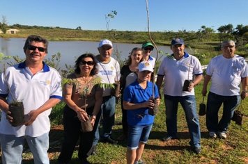 Área de preservação ambiente do Grande Lago tem plantio de árvores nativas