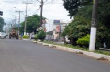 Concessionária de energia faz poda de árvores em Paraguaçu