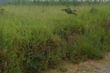 Proprietários de terrenos devem cadastrar endereço de correspondência na prefeitura