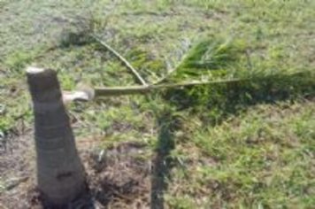 Vandalismo continua destruindo patrimônio público e causando prejuízo à população