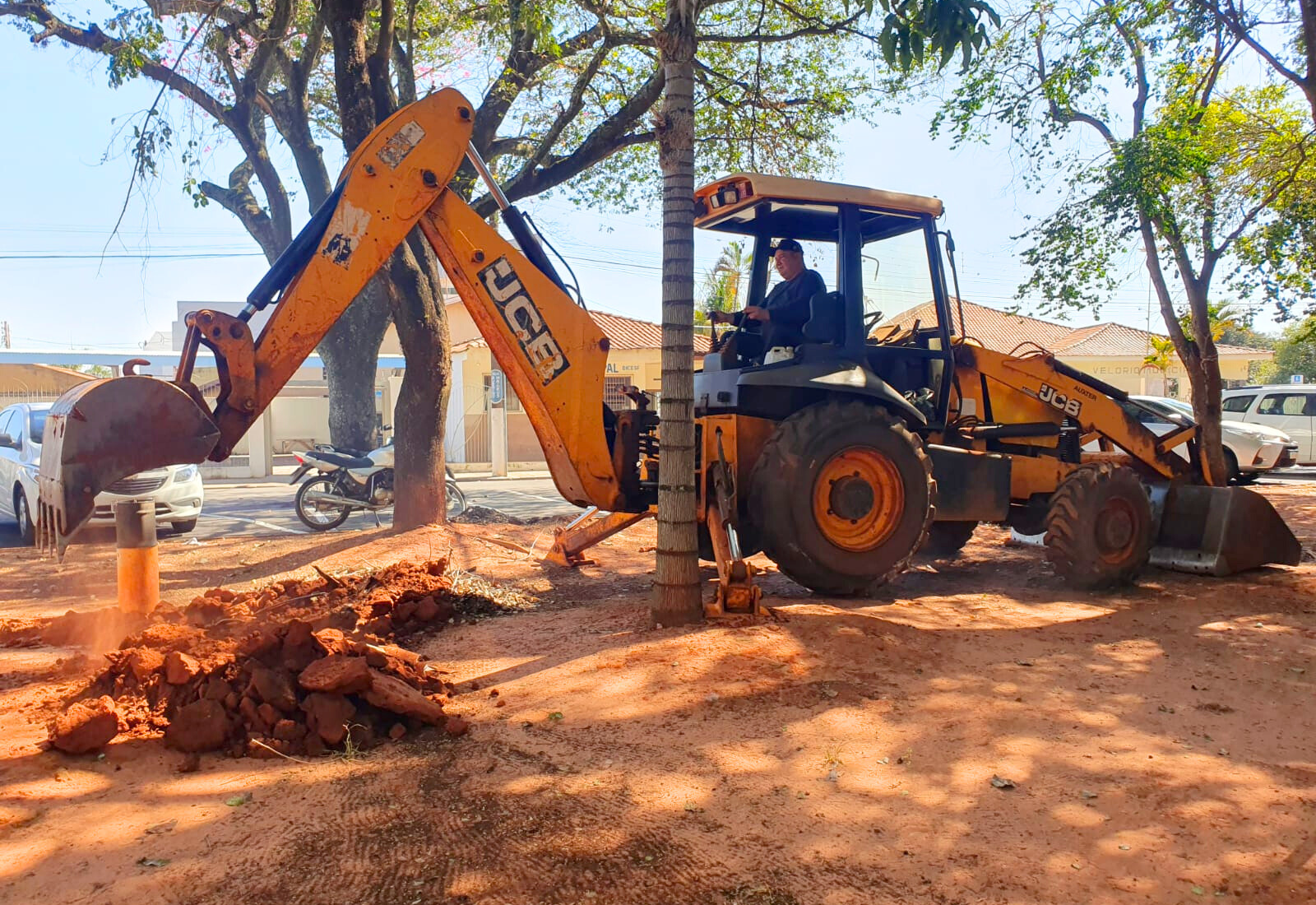 Bosque no terreno da Prefeitura é revitalizado para ampliar conforto, lazer e convivência