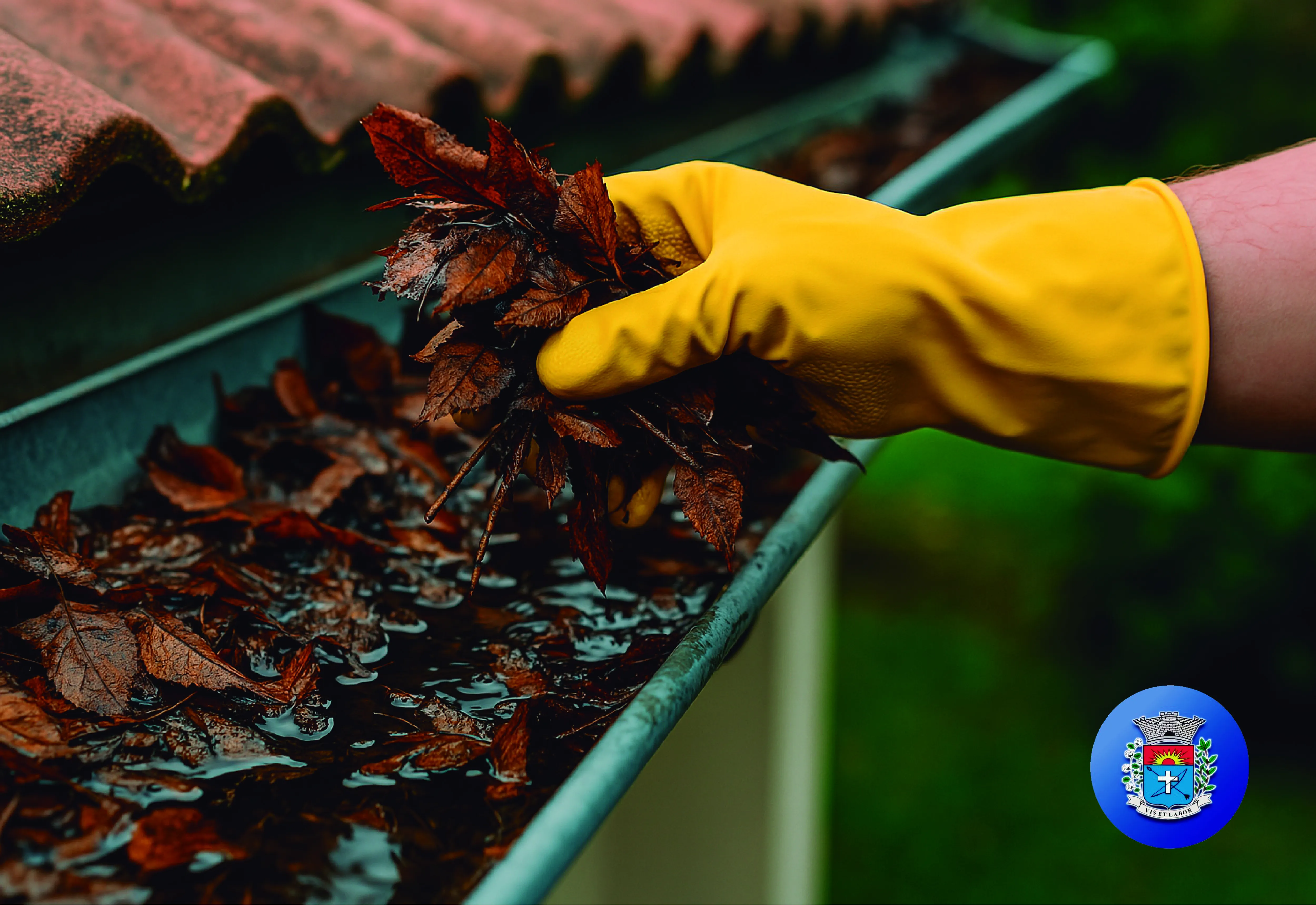 Combate à Dengue: O inimigo pode estar dentro de casa!