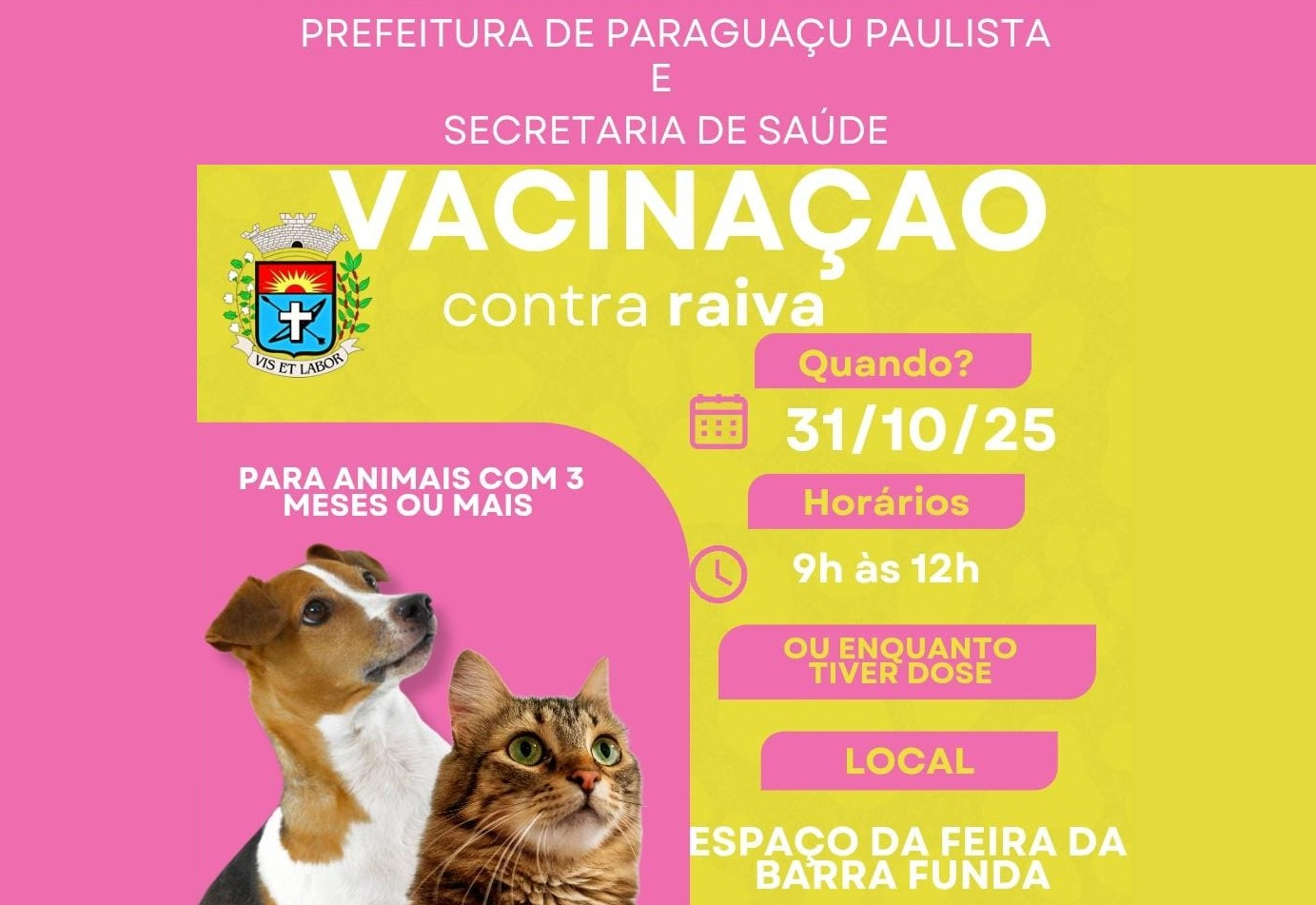 Saúde promove vacinação contra a raiva para cães e gatos na Barra Funda