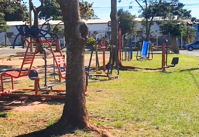 Preservar é dever de todos: vandalismo em áreas de lazer gera prejuízos à comunidade