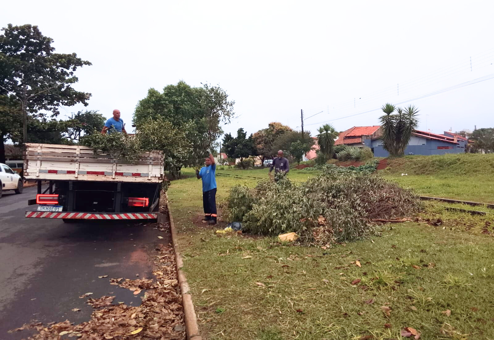 Descarte consciente é dever de todos: restos de poda devem ser levados à Central de Resíduos