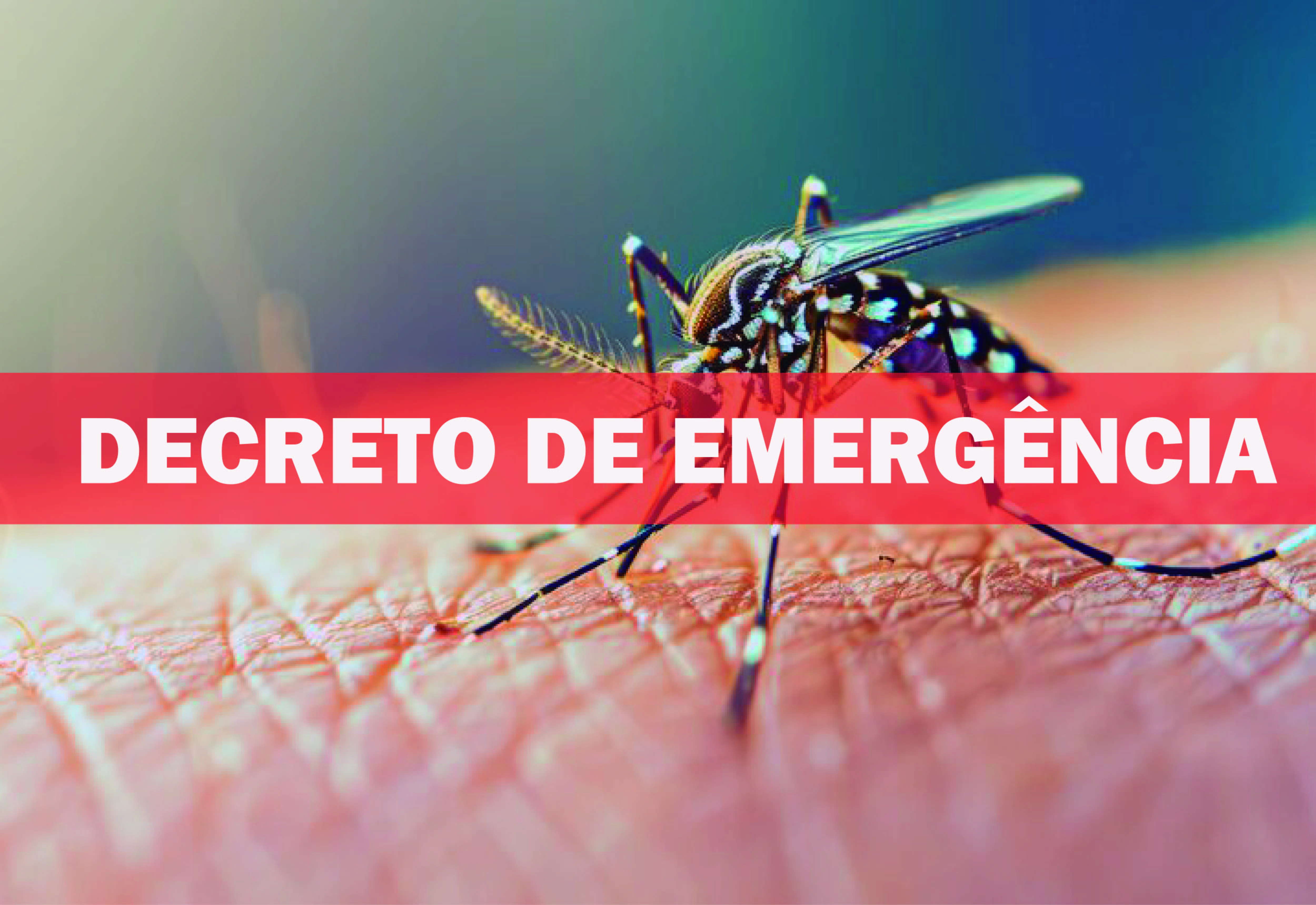 Decreto de emergência para Dengue do Governo de São Paulo pode beneficiar os municípios