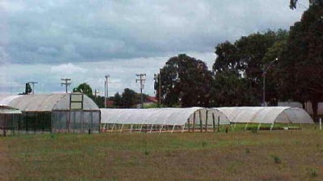 Esapp realiza neste mês o 40º Dia de Campo