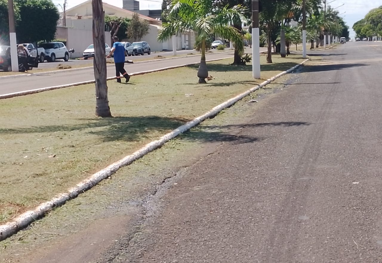 Prefeitura realiza limpeza e manutenção do canteiro central da Av. Hissagy Marubayashi