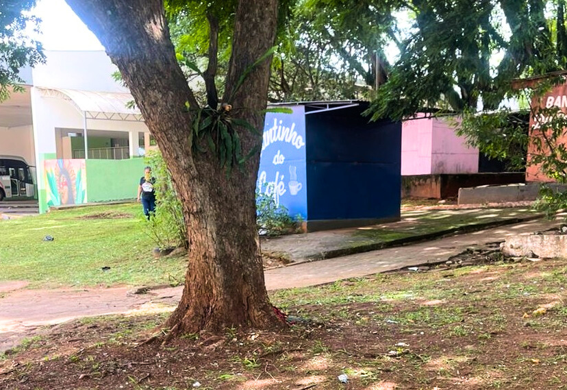 Limpeza e roçagem são feitas na área do Camelódromo, ao lado da Rodoviária 