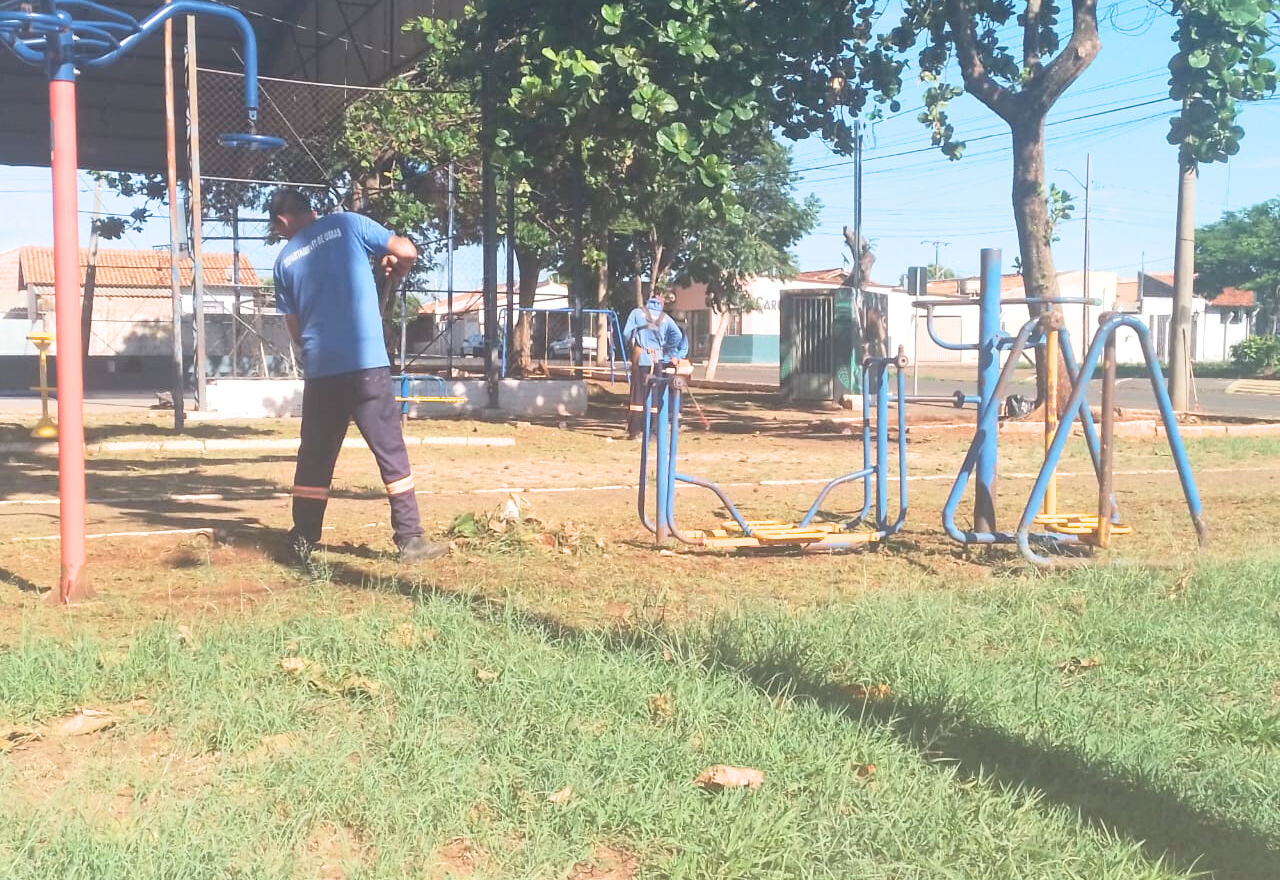 Poda e limpeza geral em espaços públicos na Barra Funda, Centro, Gammon e Jardim das Oliveiras   