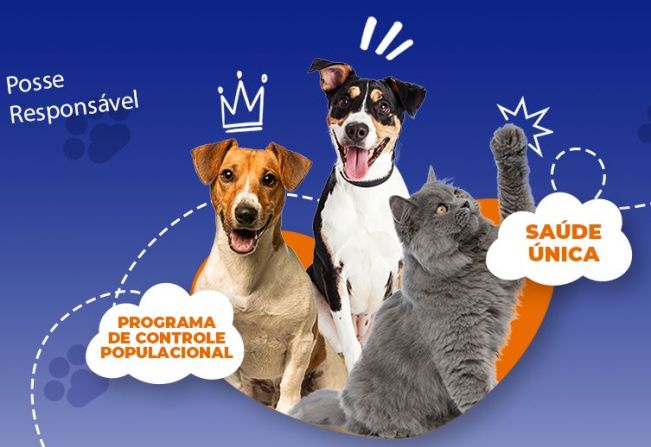 Prefeitura abre inscrições para a castração de cães e gatos em Paraguaçu Paulista