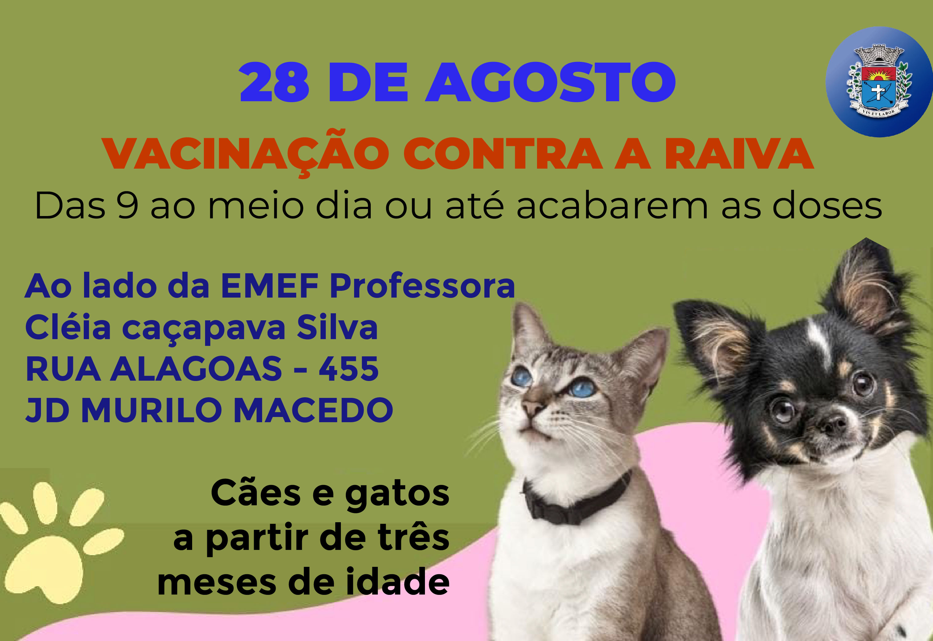 Secretaria de Saúde realiza no próximo dia 28 mais um dia de vacinação contra raiva.