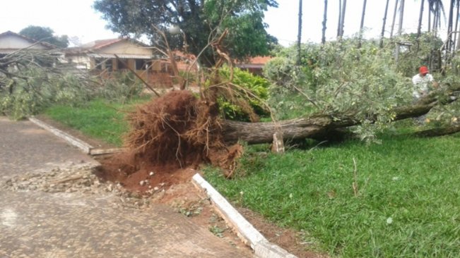 Chuvas e ventanias causam estragos em Paraguaçu