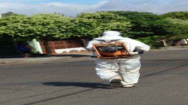 Departamento de Saúde cria força tarefa e convoca população para combater a dengue em Paraguaçu
