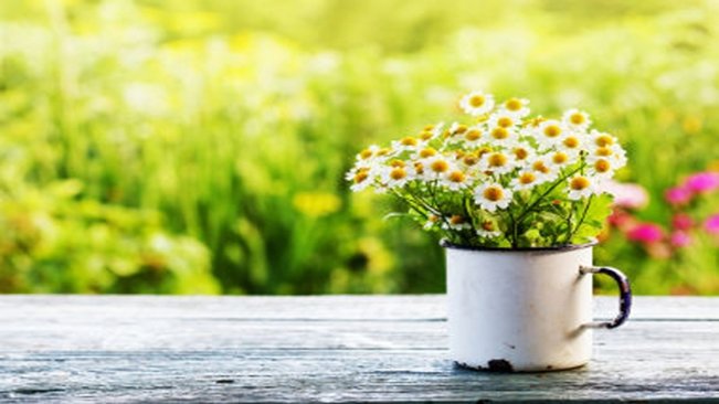 Ultima semana para inscrições da mostra fotográfica em Paraguaçu sobre a Primavera