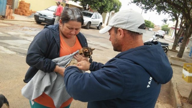 Termina nessa semana a campanha de vacinação de animais contra a raiva em Paraguaçu