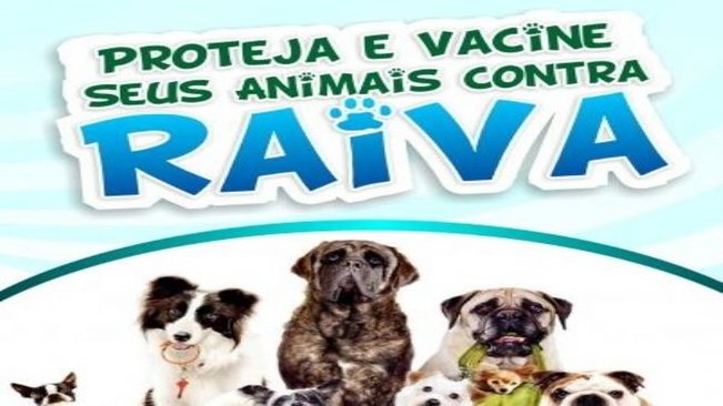 Paraguaçu realizará campanha de vacinação contra a raiva no mês de setembro