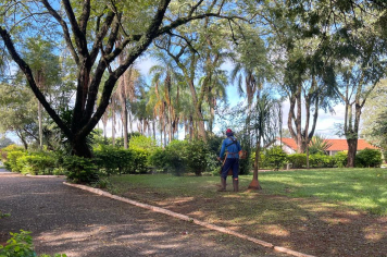 Conceição de Monte Alegre recebe roçagem geral em ação da Prefeitura