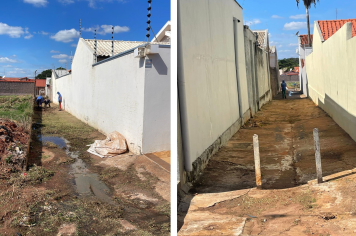 Juntos Contra a Dengue: Prefeitura intensifica limpeza no Jardim Panambi para proteger a comunidade