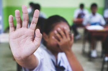 Reunião nesta terça-feira na Câmara Municipal vai discutir a prevenção de ataques em escolas