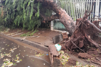 Sapezal, Conceição, Centro, Fercon, Barra Funda, Jardim Tênis Clube, Jardim Alvorada e outros locais afetados pelo Temporal