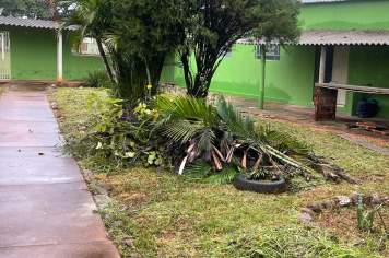 Casa Lar: Área verde também está sendo readequada para o atendimento TEA   