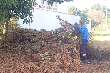 Mutirão de limpeza em Roseta promove ambiente mais salubre e qualidade de vida aos moradores