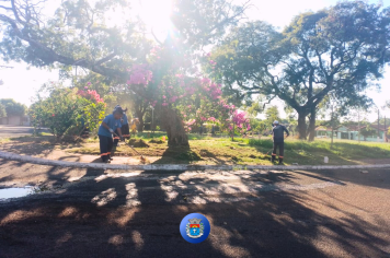 Equipes da prefeitura realizam faxina geral nas praças do Conjunto Aldo Paes Leme