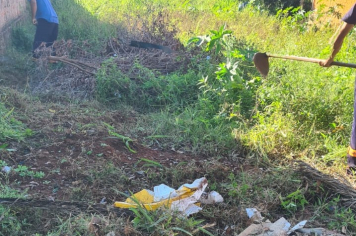 Terrenos abandonados colocam a saúde em risco: Prefeitura age, mas responsabilidade é de todos