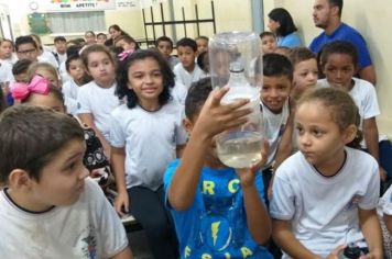 Com 115 casos positivos de dengue, Paraguaçu intensifica campanha nas escolas