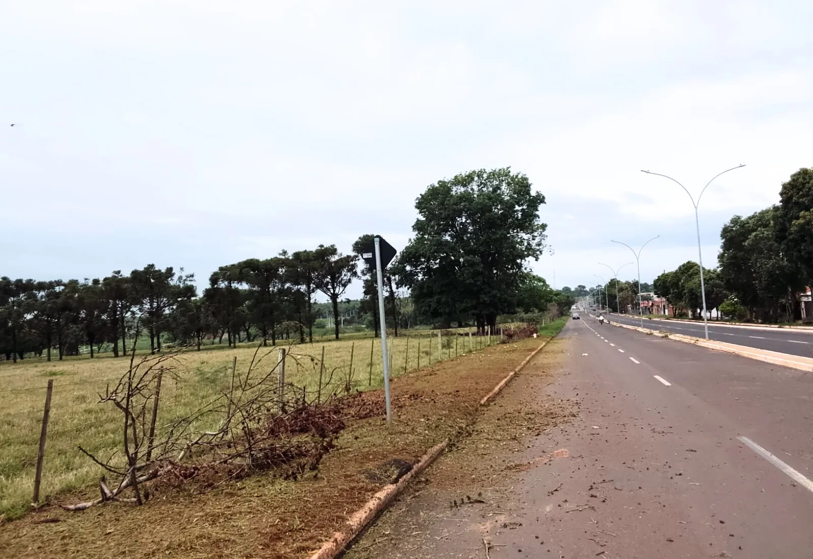 Prefeitura segue com limpeza e manutenção na 'Sete de Setembro' e reforça apelo à população