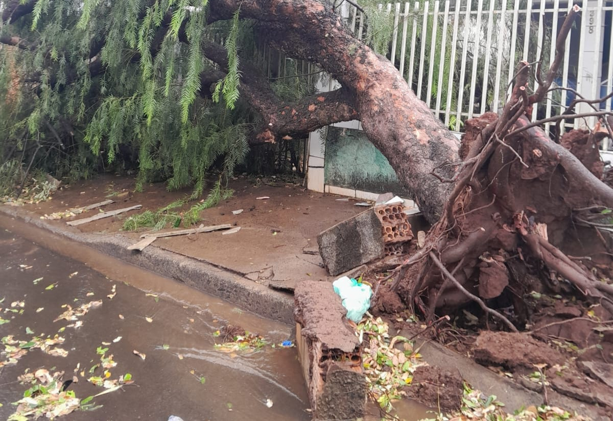 Sapezal, Conceição, Centro, Fercon, Barra Funda, Jardim Tênis Clube, Jardim Alvorada e outros locais afetados pelo Temporal